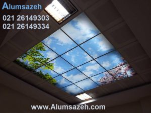 Sky plexi ceilings