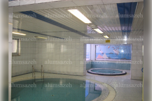 سقف کاذب دامپا